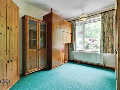 Picture 21